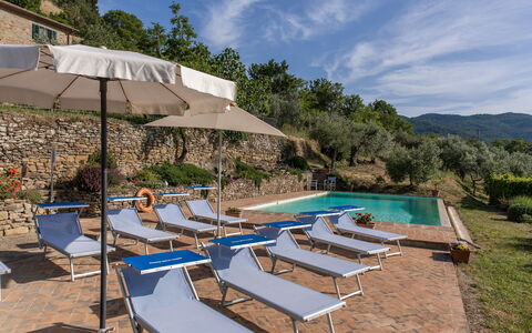 Casale Della Torre: Nube, Agua, Planta, Cielo, Propiedad, Mueble, Planta De La Comunidad, Paraguas, Piscina, Sunlounger