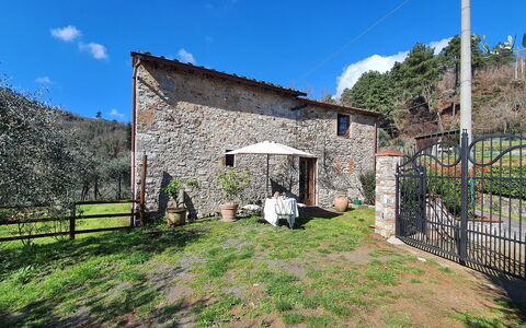 Il Cantuccio: Cielo, Nube, Planta, Propiedad, Edificio, Árbol, El Terreno Del Lote, Área Rural, Cabaña, Hierba