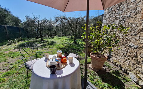 Il Cantuccio: Planta, Propiedad, Maceta, Mesa, Paraguas, Sombra, Silla, Mueble Para Exteriores, Vajilla, Edificio