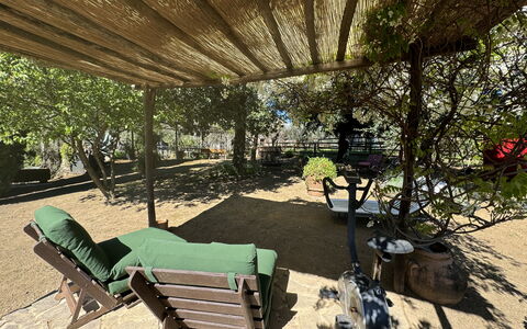 Il Cantuccio: Planta, Naturaleza, Banco Al Aire Libre, Hoja, Sombra, Mueble Para Exteriores, Botánica, Biome, Ocio, Árbol