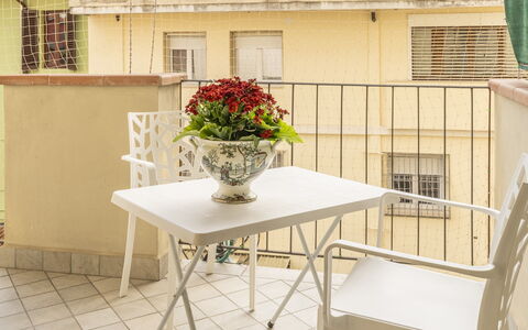 Leandro's House Near Thermal Baths: Flor, Mesa, Mueble, Ventana, Planta, Madera, Edificio, Maceta, Diseño De Interiores, Piso