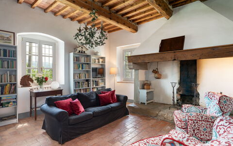 Casa Mirandola: Marrón, Mueble, Propiedad, Sofá, Marco, Planta, Madera, Diseño De Interiores, Sala, Suelo