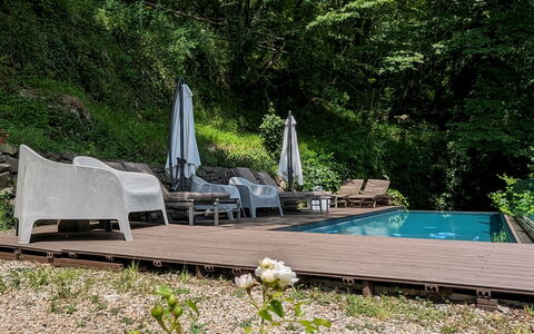 Mulino Morandi: Planta, Flor, Planta De La Comunidad, Paisaje Natural, Árbol, Madera, Mueble Para Exteriores, Vegetación, Arbusto, Cobertura Del Suelo