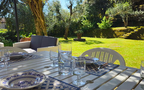 La Piccola Rocca: Mesa, Planta, Vajilla, Mueble, Mesa Al Aire Libre, Silla, Árbol, Mueble Para Exteriores, Cocina Y Comedor Mesa, Copa De Vino