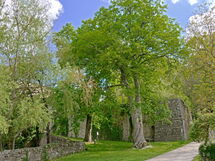 Casa Di Pietro In Vivo D'orcia, Pool