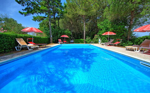 Leccino: Agua, Planta, Mueble, Piscina, Árbol, Silla, Edificio, Sombra, Mueble Para Exteriores