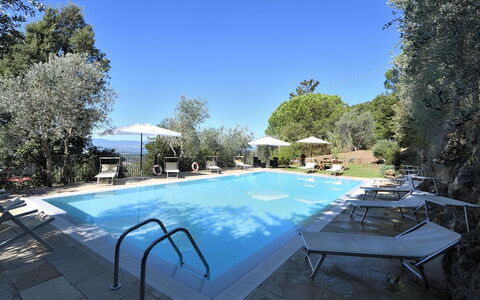 Villa Sette Ponti Levante: Planta, Cielo, Propiedad, Agua, Piscina, Mesa, Azur, Sombra, Mueble Para Exteriores, Árbol