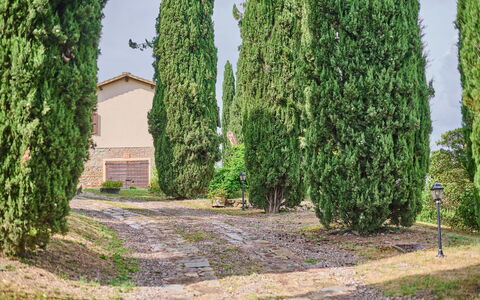Villa Conte Jacopo: Planta, Cielo, El Terreno Del Lote, Hierba, Hojas Perennes, Cobertura, Paisaje Natural, Árbol, Arbusto, Paisaje