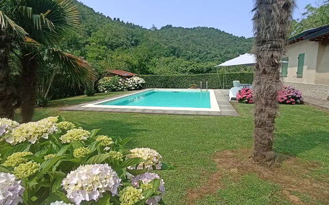 Villa Carducci: Planta, Agua, Flor, Cielo, Botánica, Verde, Azur, Árbol, Paisaje Natural, Piscina