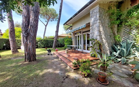 Casa La Pineta: Planta, Propiedad, Edificio, Naturaleza, Árbol, Maceta, Cielo, El Terreno Del Lote, Arecales, Hierba