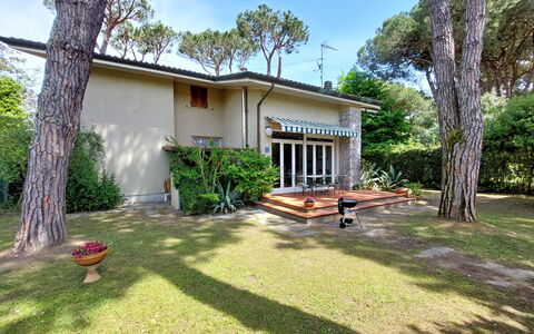 Casa La Pineta: Cielo, Planta, Propiedad, Edificio, Árbol, El Terreno Del Lote, Casa, Sombra, Cabaña, Ventana