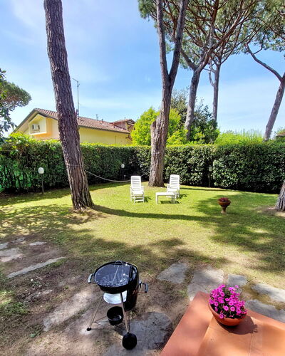 Casa La Pineta: Planta, Propiedad, Cielo, Maceta, Botánica, Árbol, Edificio, Nube, Hierba, Arecales