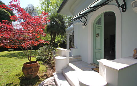 Villa Le Macchie: Planta, Propiedad, Flor, Edificio, Maceta, Encendiendo, Árbol, Arquitectura, Planta De Casa, Sombra