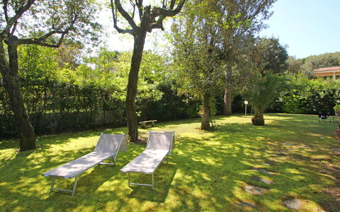 Villa Le Macchie: Planta, Cielo, Árbol, Sombra, Paisaje Natural, El Terreno Del Lote, Luz De Sol, Paisaje, Ocio, Hierba