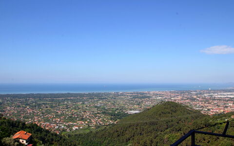 Panorama: Nube, Cielo, Planta, Tierras Altas, Terreno, Urbano, Cúmulo, Árbol, Horizonte, Ciudad