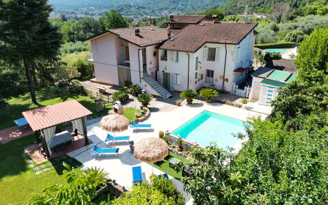 Casa Luigi: Planta, Edificio, Propiedad, Ventana, Árbol, Casa, Cabaña, El Terreno Del Lote, Diseño Urbano, Barrio
