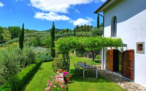 Villa Mami: Planta, Nube, Flor, Cielo, Verde, Ventana, Paisaje Natural, Edificio, El Terreno Del Lote, Vegetación