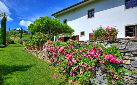 Villa Mami: Flor, Planta, Cielo, Propiedad, Ventana, Nube, Verde, Edificio, Arquitectura, Árbol
