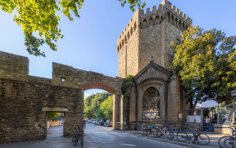 Cascine Apartment In Florence: Árbol, Arco, Arquitectura, La Arquitectura Medieval, Arcade