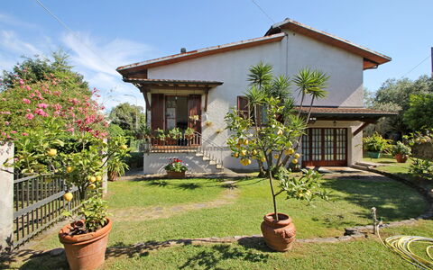 Casa Il Prato: Planta, Cielo, Propiedad, Flor, Edificio, Ventana, Maceta, Árbol, El Terreno Del Lote, Vegetación