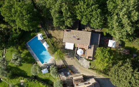 Villa Ida: Planta, Propiedad, Edificio, Árbol, Arquitectura, Vegetación, Ventana, Hierba, Diseño Urbano, Cabaña