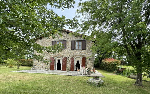 Pinocchio: Planta, Edificio, Ventana, Árbol, El Terreno Del Lote, Casa, Hierba, Cielo, Cabaña, Paisaje