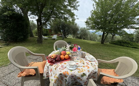 Pinocchio: Mesa, Planta, Mueble, Propiedad, Silla, Mesa Al Aire Libre, Vajilla, Árbol, Mueble Para Exteriores, Paisaje Natural