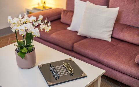 Rose's Palace: Flor, Mesa, Mueble, Propiedad, Planta, Sofá, Blanco, Diseño De Interiores, Comodidad, Amarillo