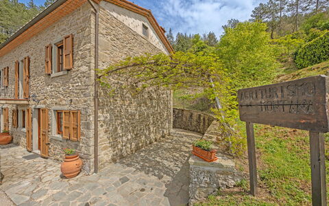 La Montana: Planta, Edificio, Nube, Propiedad, Cielo, Árbol, Ventana, El Terreno Del Lote, Casa, Ladrillo
