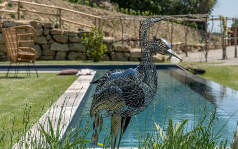Villa Paradise: Agua, Planta, Árbol, Banco, Hierba