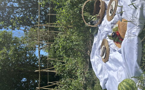 Borgo Dolciano: Jardín, Produce, Fruta, Los Alimentos Naturales, Agricultura