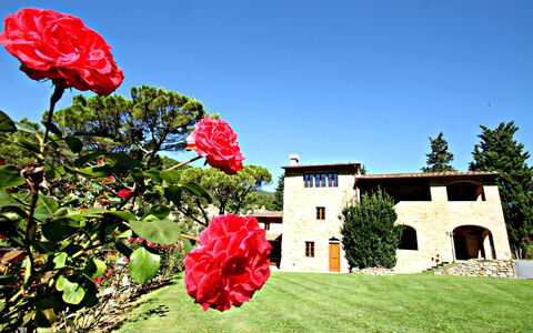 Residence Marino: Flor, Rojo, Planta, Pétalo, Cielo, Primavera, Casa, Verano, Paisaje