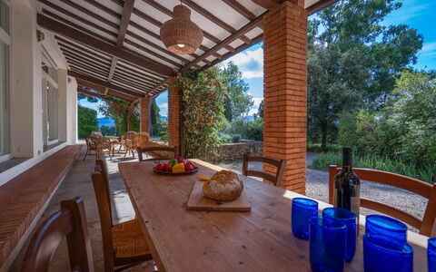 Poggetti San Luigi Country Home Follonica: Mesa, Mueble, Propiedad, Azul, Planta, Silla, Porche, Madera, Maceta, Árbol