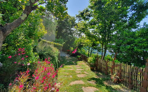 La Casa Sul Forte: Flor, Verde, Naturaleza, Vegetación, Arbusto, Jardín, Primavera, Pétalo, Jardín Botánico