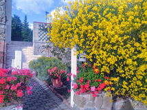 Bellavista Tuscany Apartment Panoramic Terrace