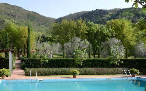 Villa Bongi: Piscina, Arbusto, Jardín, Eco Hotel, Recurso, Hacienda, Inmuebles, Paisajismo, Plantación, Hojas Perennes
