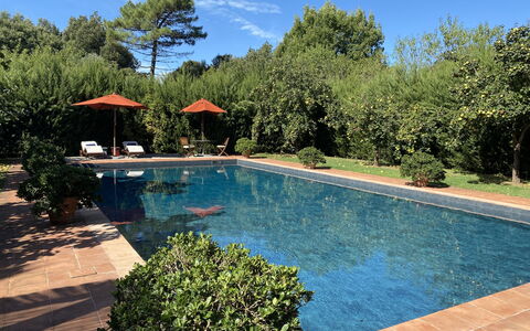 Villa Bongi: Piscina, Recurso, Sombra, Jardín, Fuente De Agua, Ocio, Eco Hotel, Mueble Para Exteriores, Hacienda, Paisajismo