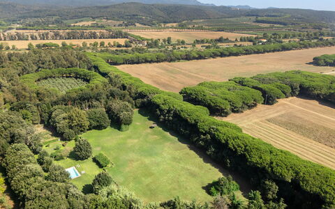 Casale Rosa: Árbol, Entorno Natural, Paisaje Natural, Paisaje, Vista Panorámica, Fotografía Aérea, Llanura, El Terreno Del Lote, Plantación, Campo