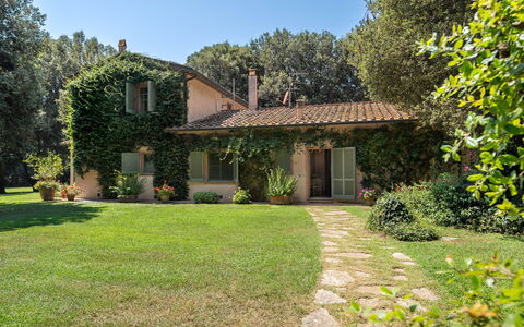 Casale Rosa: Árbol, Hoja, Hierba, Casa, Rama, Casa, Vegetación, Arbusto, Cabaña