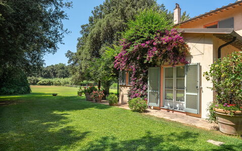 Casale Rosa: Arbusto, Jardín, Casa, Casa, Planta De La Comunidad, El Terreno Del Lote, Cobertura Del Suelo, Césped, Primavera