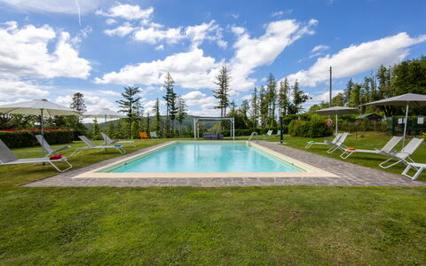 Montelucci Chianti Agrivilla: Agua, Nube, Cielo, Planta, Piscina, Edificio, Árbol, Sombra, Rectángulo, Casa