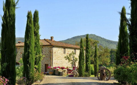 Mulino della Villa: Arbusto, Jardín, Paisajismo, Plantación, Hojas Perennes, Familia De Pino
