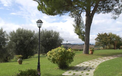 Villa del Lago: Árbol, Hoja, Arbusto, Jardín, El Maletero, Césped, Plantas Leñosas, Sombra, Paisajismo