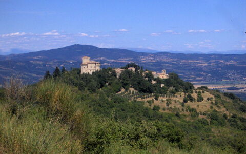 Borgo di Fighine: Árbol, Naturaleza, Vegetación, Colina, Paisaje, Tierras Altas, Pradera, Planta De La Comunidad, Área Rural, Hill Station