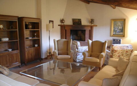 Magnolia e Camelia: Mueble, Diseño De Interiores, Piso, Madera, Habitación, Suelo, Sala, Mesa, Silla, Sofá