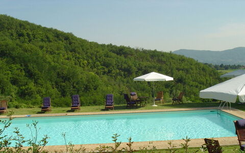 Magnolia e Camelia: Piscina, Mueble Para Exteriores, Ocio, Recurso, Eco Hotel, Hill Station, Sunlounger, Ciudad De Vacaciones, Paraguas, Paisajismo