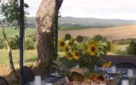Santo Stefano: Mueble, Manteles, Utensilios Para Servir, Comida, Silla, Desayuno, Vajilla, Mueble Para Exteriores, Plato