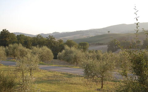 Santo Stefano: Árbol, Entorno Natural, Vegetación, Paisaje Natural, Pradera, Colina, Planta De La Comunidad, Arbusto, Ecorregión, Llanura