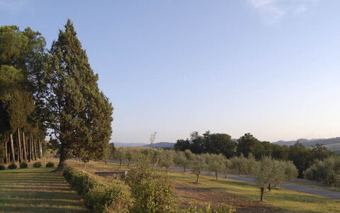 Santo Stefano: Árbol, Hoja, Entorno Natural, Paisaje Natural, Llanura, Paisaje, El Terreno Del Lote, El Maletero, Plantas Leñosas, Plantación