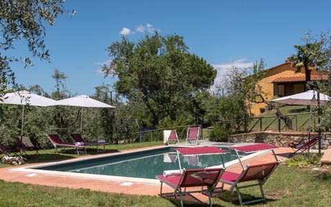 Bellaria: Inmuebles, Hacienda, Patio Interior, Mueble Para Exteriores, Villa, Jardín, Casa De Campo, Yarda, Piscina, Paisajismo